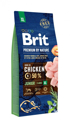 Obrázek Brit Premium by Nature Junior XL 15 kg