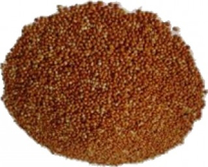 Picture of Proso zelené 5kg - rozváženo