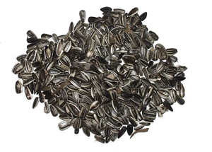 Picture of Slunečnice žíhaná velká 1kg - rozváženo