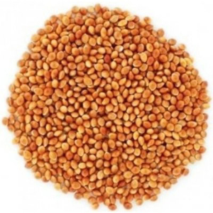 Picture of Proso žluté (kg) - rozváženo